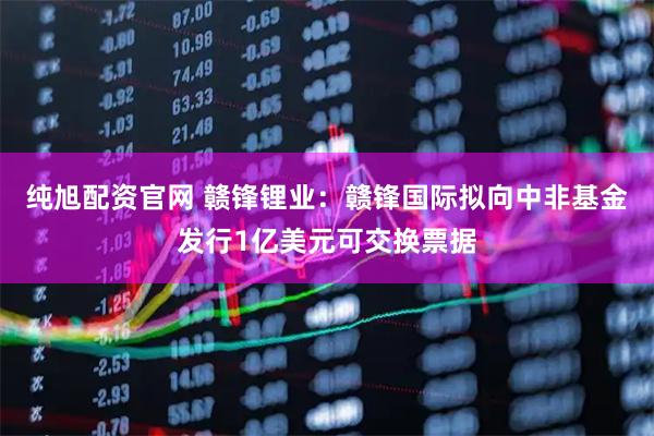 纯旭配资官网 赣锋锂业：赣锋国际拟向中非基金发行1亿美元可交换票据