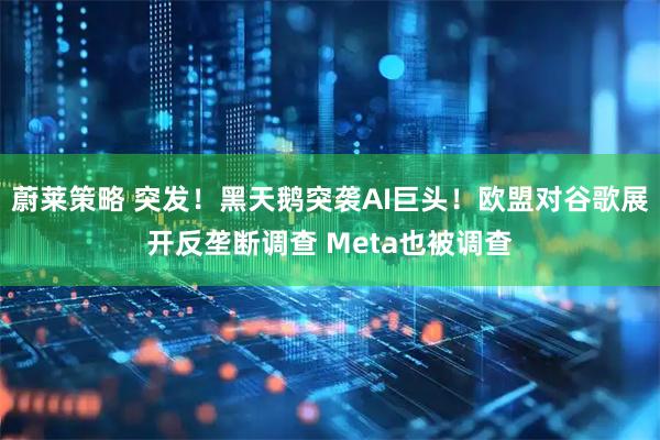 蔚莱策略 突发！黑天鹅突袭AI巨头！欧盟对谷歌展开反垄断调查 Meta也被调查