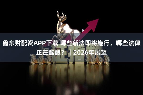 鑫东财配资APP下载 哪些新法即将施行，哪些法律正在酝酿？｜2026年展望