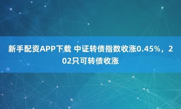 新手配资APP下载 中证转债指数收涨0.45%，202只可转债收涨